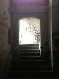 halle-14.html