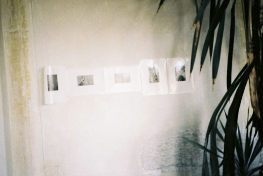 070505_017.jpg